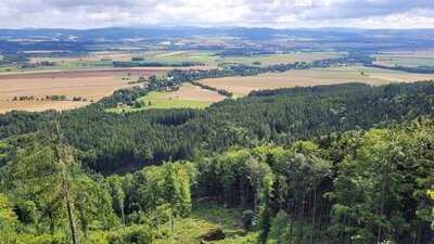 20230802-103051.jpg