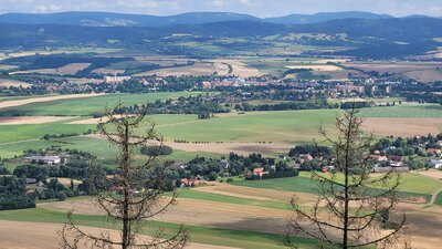 20230802-120339.jpg